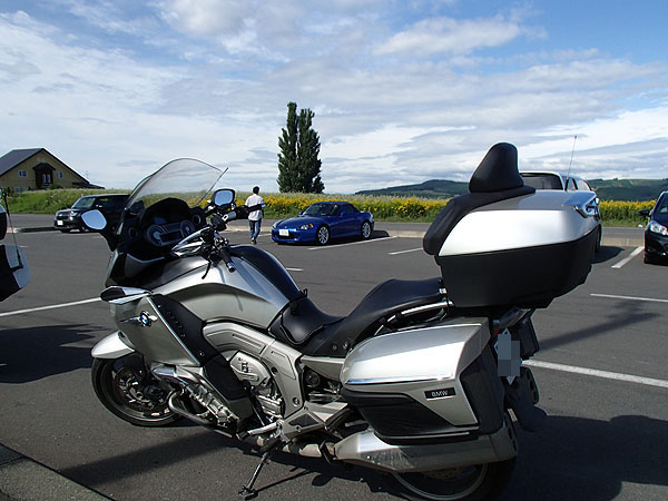 ケンとメリーの木